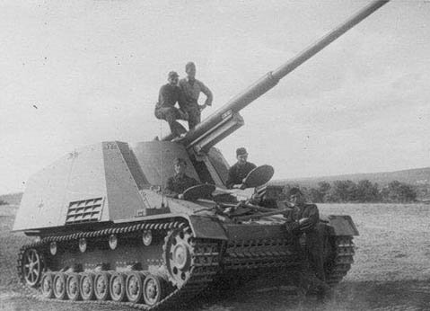 nashorn_9.jpg